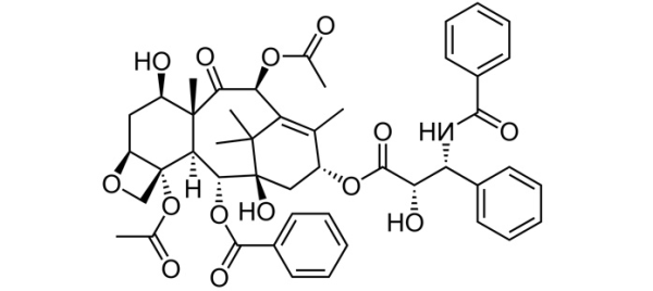 多能化合物及有机合成导论.